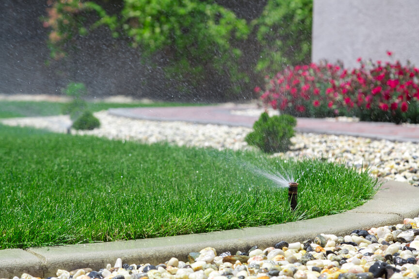 lawn